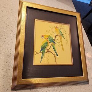 Vintage Watercolor Yellow, Red, Green Parakeets Birds Gold Framed & Matted Art